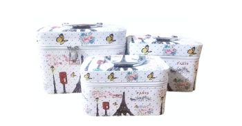 CO-4701 WT 3PC COSMETIC CASE