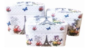 CO-4705 WT 3PC COSMETIC CASE