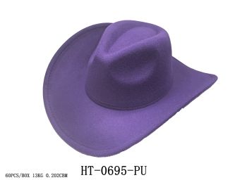 HT-0695 PP SOLID COWBOY HAT 