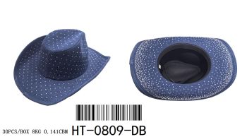 HT-0809DBL COWBOY BLING STONE HAT